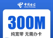 福建电信单宽带-300M单宽带98元-详情