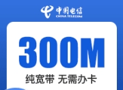 福建电信单宽带-300M单宽带98元-详情