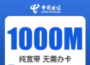石家庄电信单宽带-石家庄电信1000M单宽.-详情