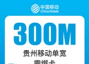 贵州移动单宽带-鸿鹄-贵州移动300M单宽-2年-详情