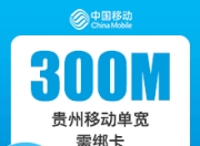 贵州移动单宽带-鸿鹄-贵州移动300M单宽-2年-详情