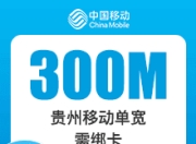 贵州移动单宽带-贵州移动300M单宽带-3年-详情