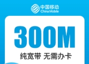 武汉移动单宽-武汉移动300M单宽.-详情