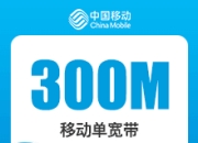 广东移动单宽-广东移动300M单宽..-默认-详情